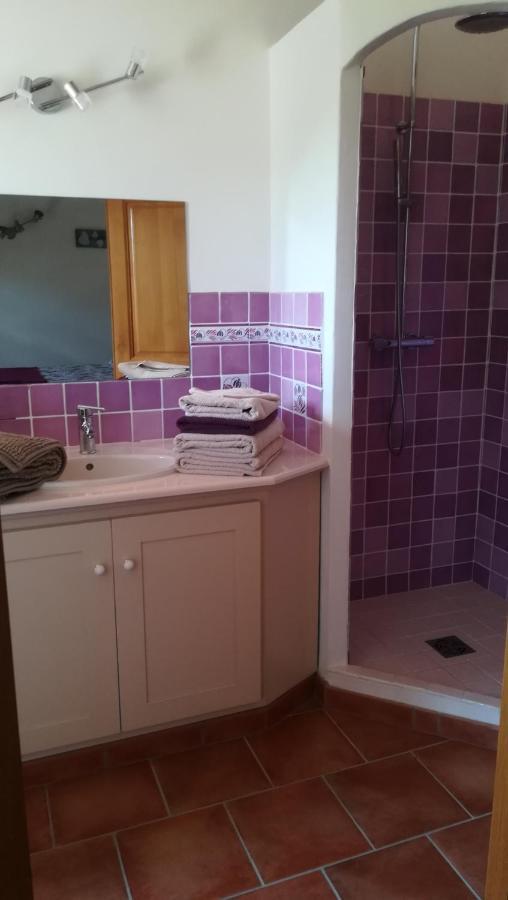 La Bastide De Nini Bed & Breakfast Carces Luaran gambar